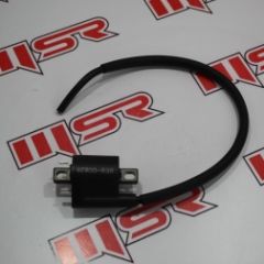 YAMAHA DELİGHT 125 DIŞ BOBİN