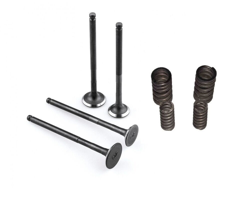 REGAL RAPTOR Pılder 125 Subop Emme Egzoz Yay Set
