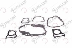 CONTA TAKIMI-MEXİCO Falcon