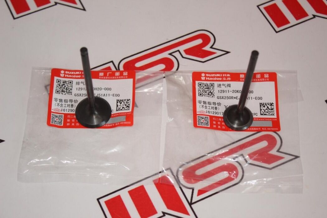 SUZUKI GSXR 250/GW İNAZUMA/V-STROM 250 SÜBAP TK