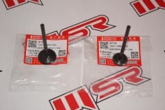 SUZUKI GSXR 250/GW İNAZUMA/V-STROM 250 SÜBAP TK