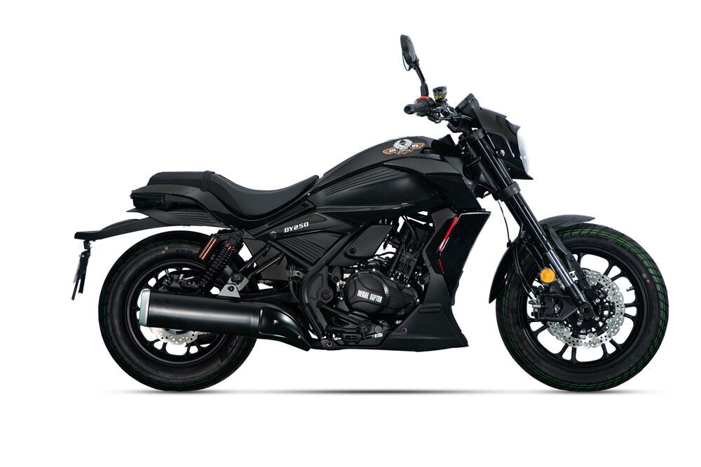 REGAL RAPTOR DY 250 Sele Alt Dekor Kapak Sağ