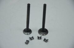 SCOOTER 50 CC SUBAP EGZOZ + EMME DQ