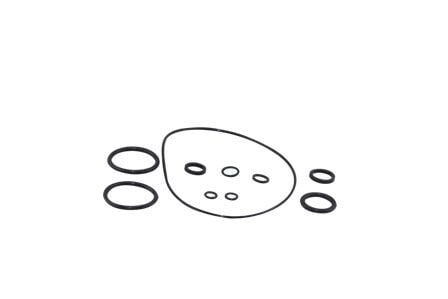 RAMZEY CUP C100 O-RING SETI