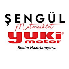 ARKA AMORTİSÖR (BELLİNİ 125)
