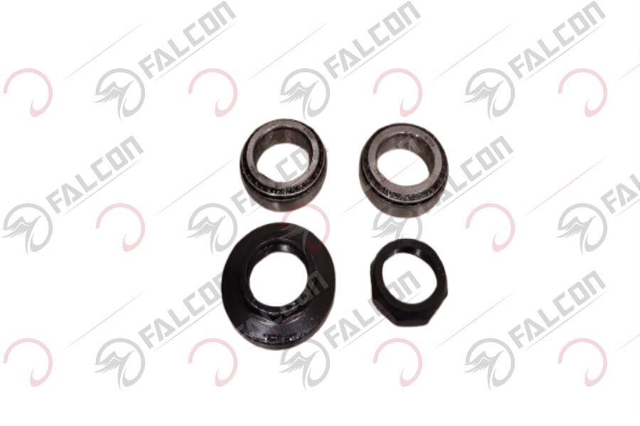 FURÇ TAKIMI-JULIA Falcon