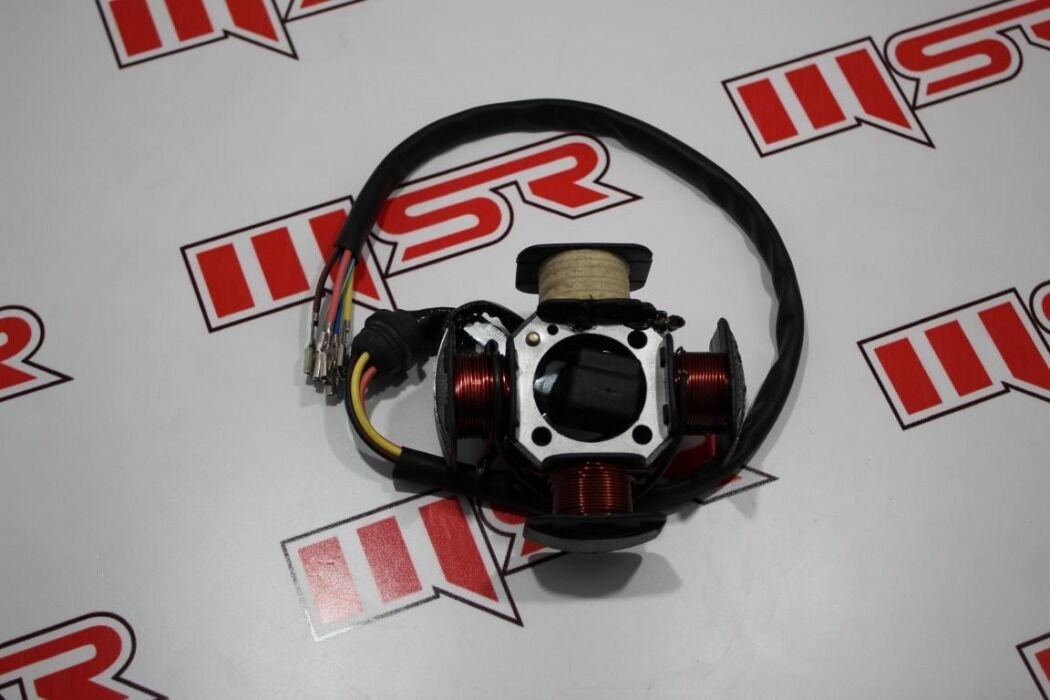 CG 100 DİK MOTOR 4V 4&39;LÜ STATÖR 5 KABLO BEZ BOBİNLİ AC