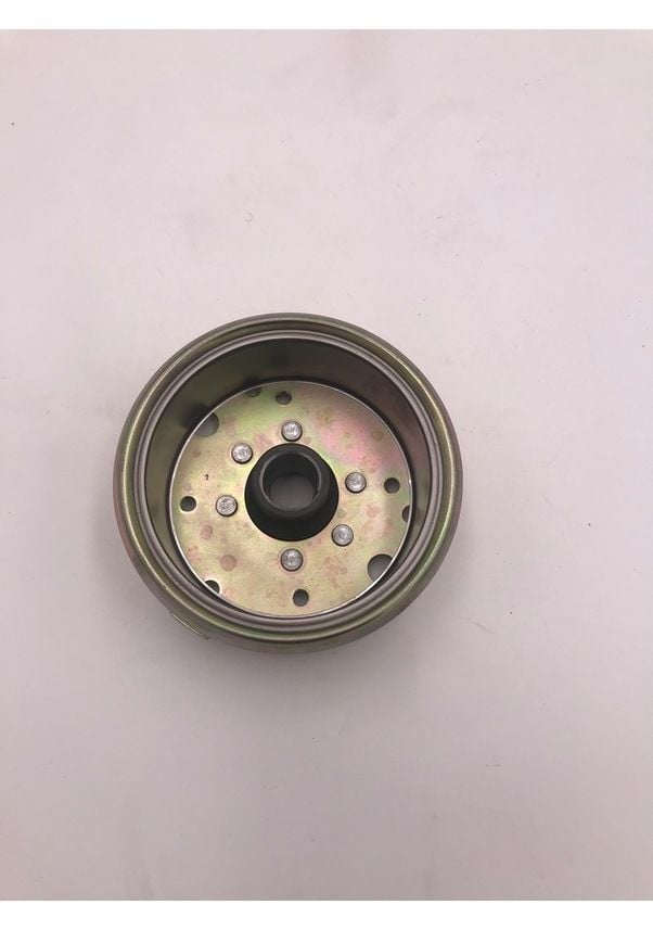 Lifan Eagle 125 Scooter Rotor