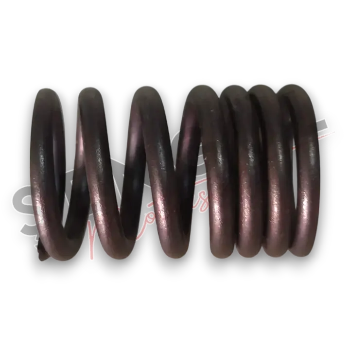 YUKİ GP-2 TARO 125 R SİBOP İÇ YAYI