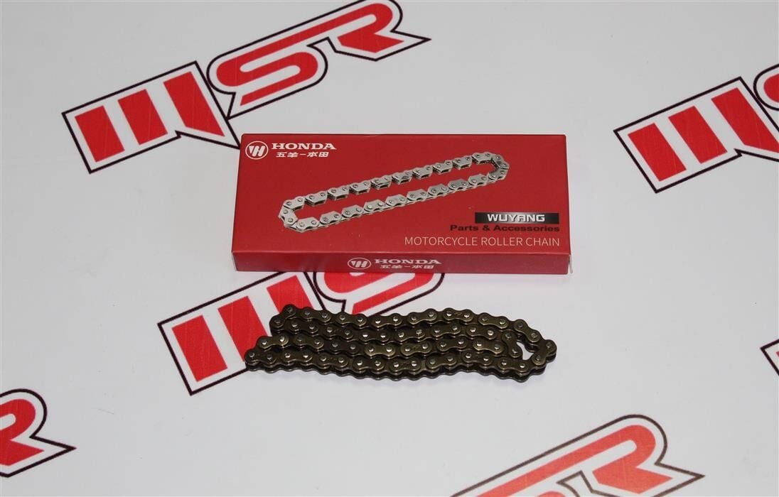 EKSANTRİK ZİNCİR CUB 100/110 25H*62L