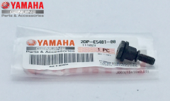 Yamaha X-MAX 250 DEBRİYAJ KAPAK CİVATASI