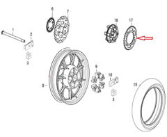 REGAL RAPTOR DY 250 Arka Dişli