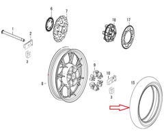 REGAL RAPTOR DY 250 Arka Lastik
