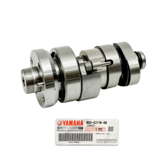 Xmax 250 Xmax 300 Eksantrik Mil