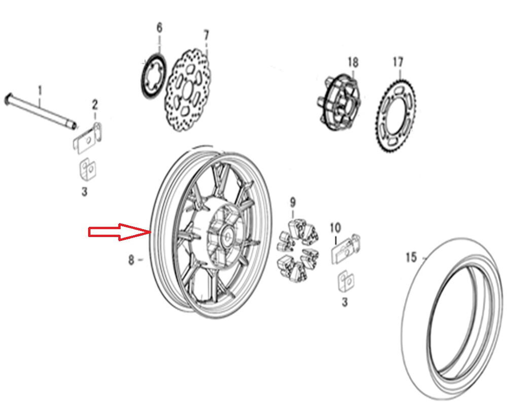REGAL RAPTOR DY 250 Arka Jant