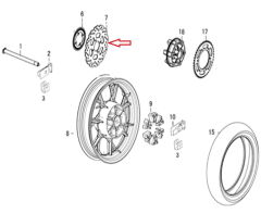 REGAL RAPTOR DY 250 Arka Fren Disk