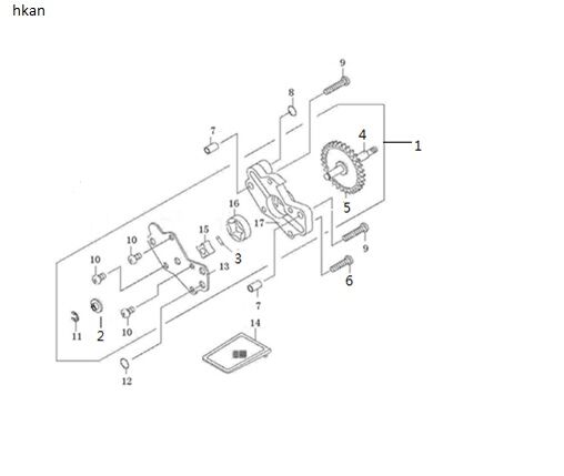 VOGE RALLY 300 YAĞ POMPASI