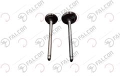 EMME EGZOZ SİBOBU-MASTER 50