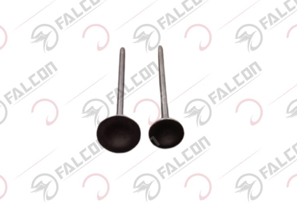 EMME EGZOZ SİBOBU-SALVADOR 188 Falcon