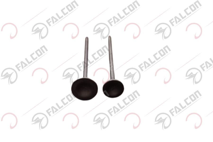 EMME EGZOZ SİBOBU-SALVADOR 188 Falcon