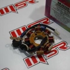 TVS SCOOTY PEP 90 CC STATÖR 8 Lİ