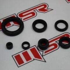 MCT 250-REGAL RAPTOR 250 KEÇE SETİ 7 Lİ TÜM MODELLER UYUMLU