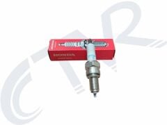SPACY 110 BUJİ NGK-CPR8EA9 PLUS HONDA