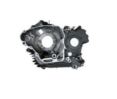 REGAL RAPTOR Daytona 250 V Sol Blok