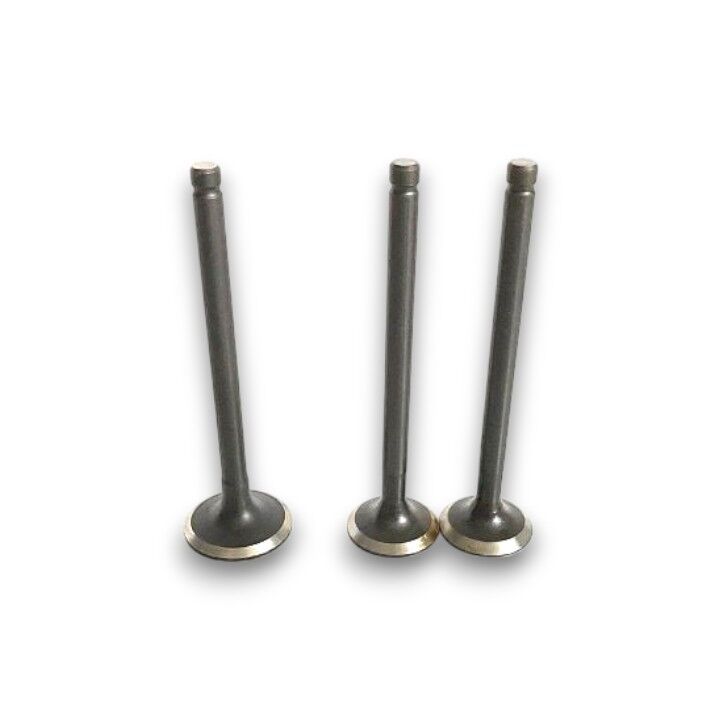 Lifan LF100-A Tay100 EMME EKSOZ SUBAP TAKIM