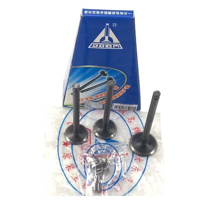 EKSOZ EMME SUBAP LİFAN TAY100 DADONG