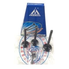 EKSOZ EMME SUBAP LİFAN TAY100 DADONG