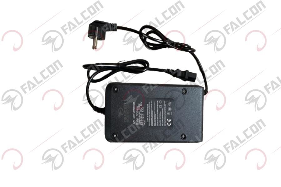 ŞARJ ALETİ - YUWI G10 Falcon