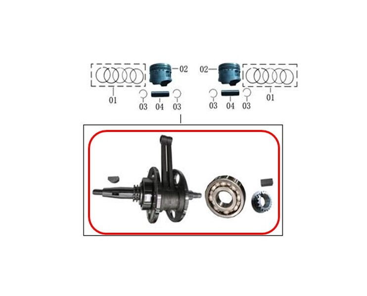 REGAL RAPTOR Daytona 250 V Krank Komple