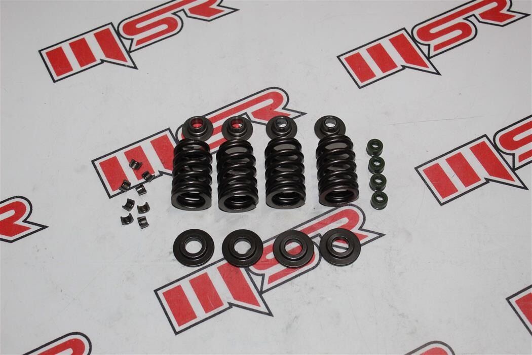 Bajaj Dominar 400ug-d250-d400 E5 Sübap Yay Seti