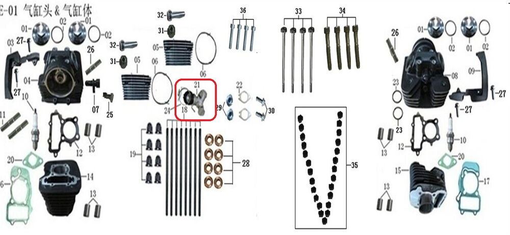 REGAL RAPTOR Daytona 250 V Manifolt