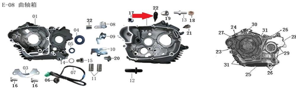 REGAL RAPTOR Daytona 250 V Yağ Kontrol Çubuğu
