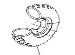 REGAL RAPTOR F320 Arka lastik