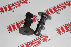 CF 250 NK EKSANTRİK MİLİ 2 Lİ SET