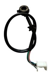 VİTES MÜŞÜRÜ MYRA