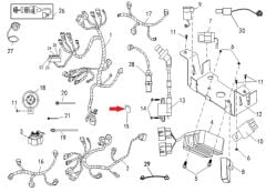 REGAL RAPTOR M210 BEYİN