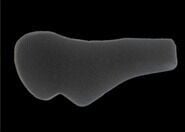 HAVA FİLTRE SÜNGERİ 150 MASH