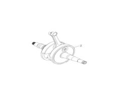 REGAL RAPTOR Promax 500 Krank