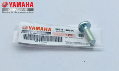 Yamaha YZF R25 DİSK VİDASI