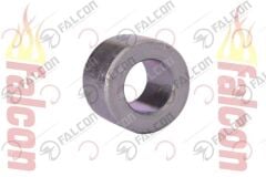 ARKA TEKER BURCU KÜÇÜK-MEXİCO Falcon