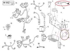 REGAL RAPTOR M210 Role