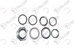 GİDON FURÇ TAKIMI GYPS 249 Falcon