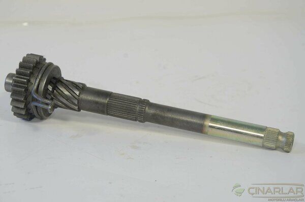 CUP 100 MARŞ MİLİ (CTVR)