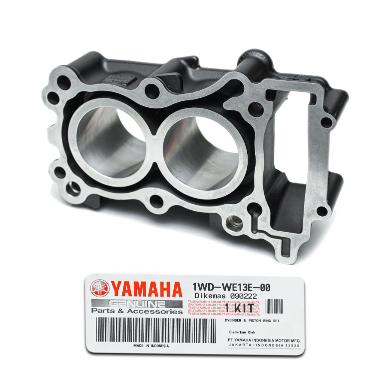 Yamaha MT25 250 SİLİNDİR SEGMAN