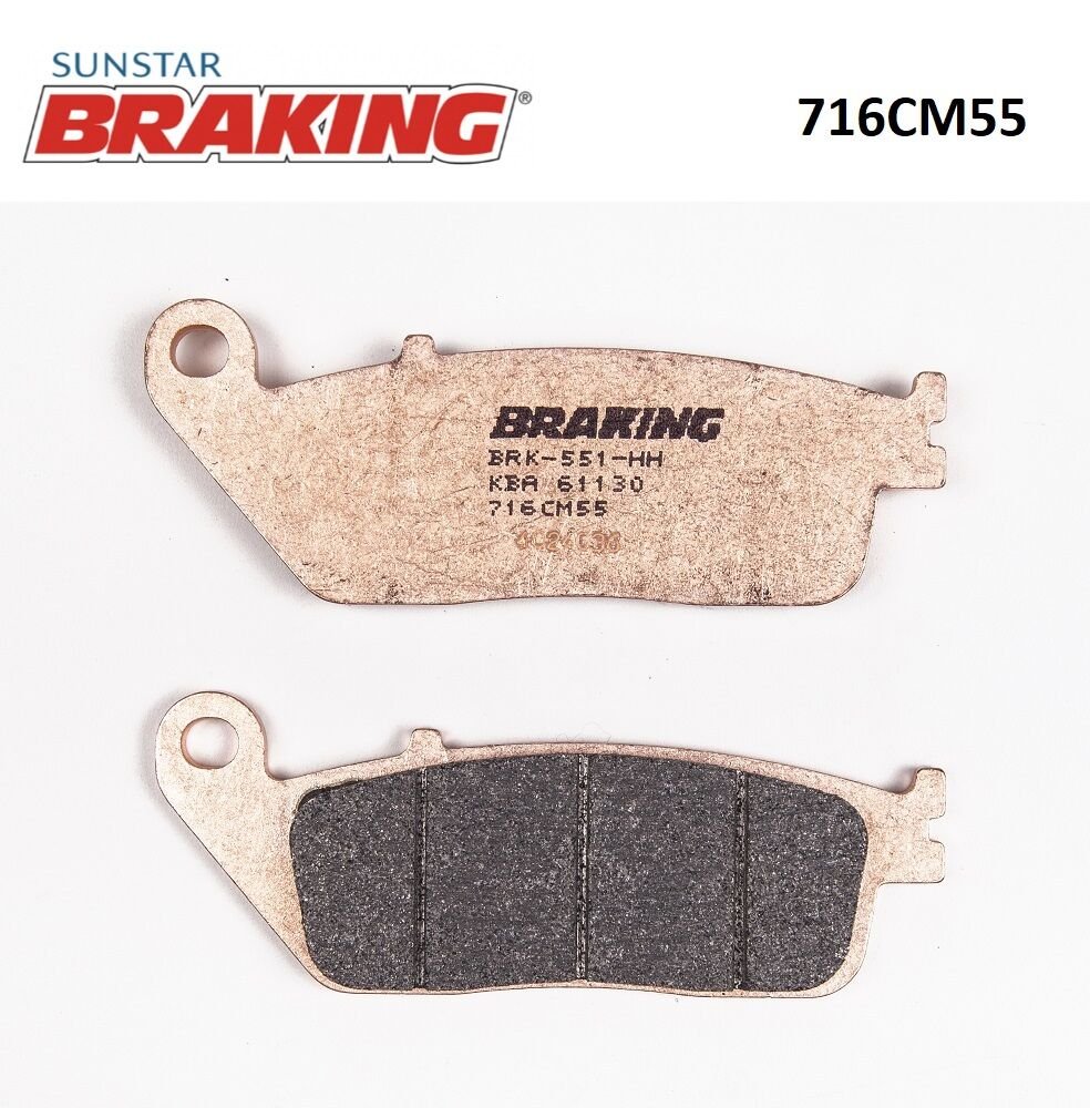 Suzuki GW INAZUMA F 250 SİNTERLİ FREN BALATASI