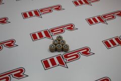 GY6 50 VARYATÖR 6 LI BURÇ 8.6GR 16X13